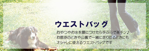 �E�G�X�g�o�b�O