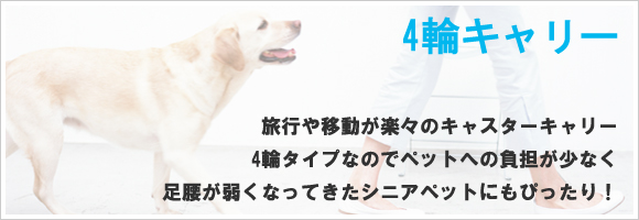 4�փL�����[