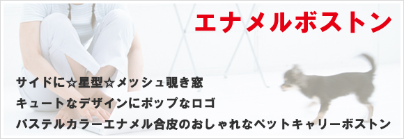 �G�i�����{�X�g��