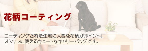 �ԕ��R�[�e�B���O