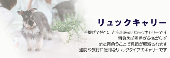 �w�����{���f�j��