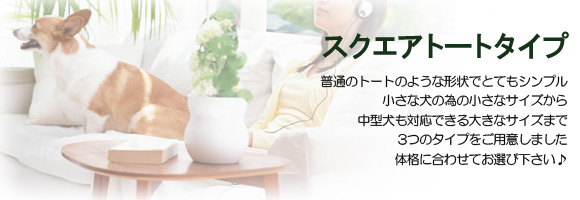 �X�N�G�A�g�[�g�^�C�v