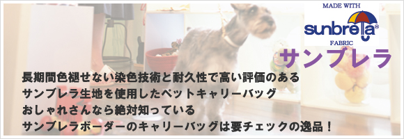 �T���u����